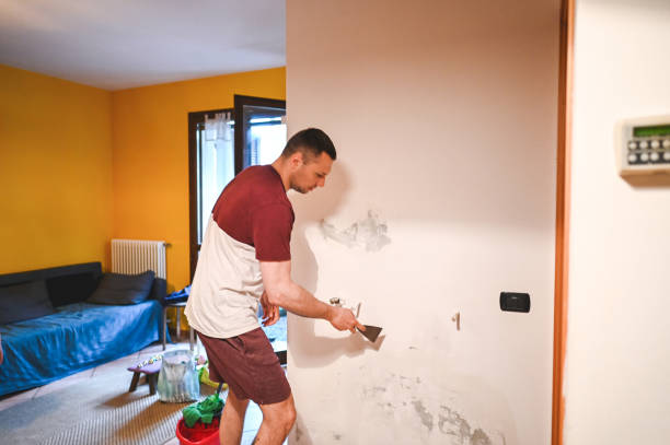 Best Water Damage Restoration  in Novi, MI