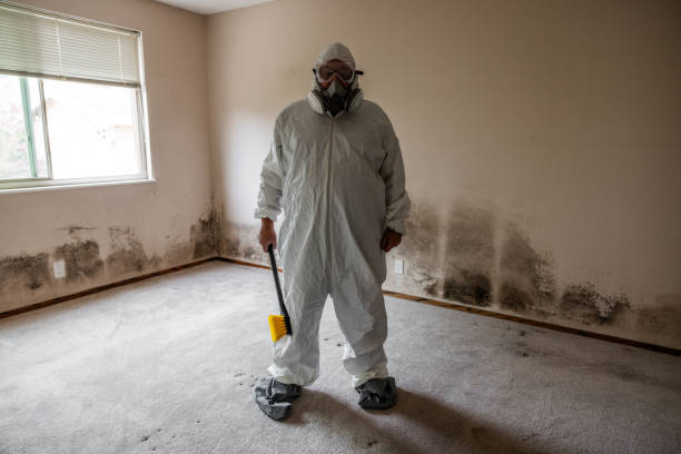 Best Commercial Mold Removal  in Novi, MI